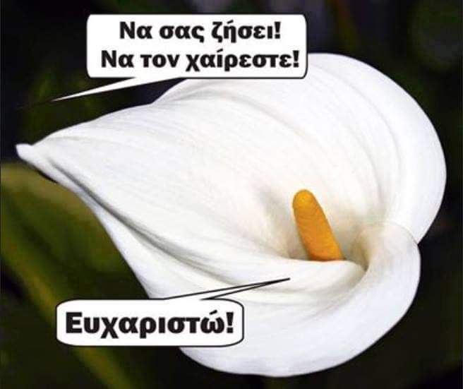 FB_IMG_1672162781918.jpg