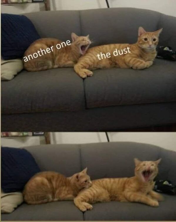 --------.jpeg