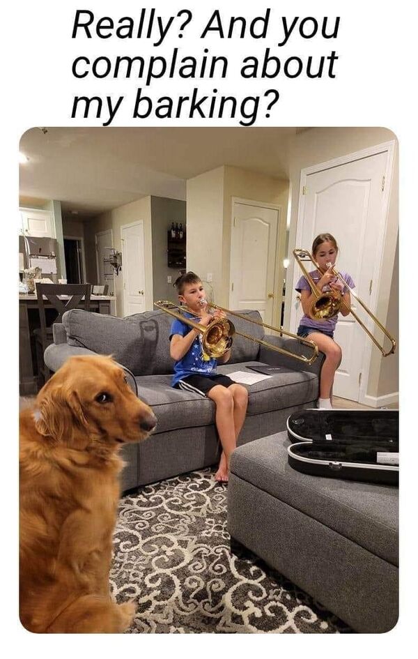 6659669.jpeg