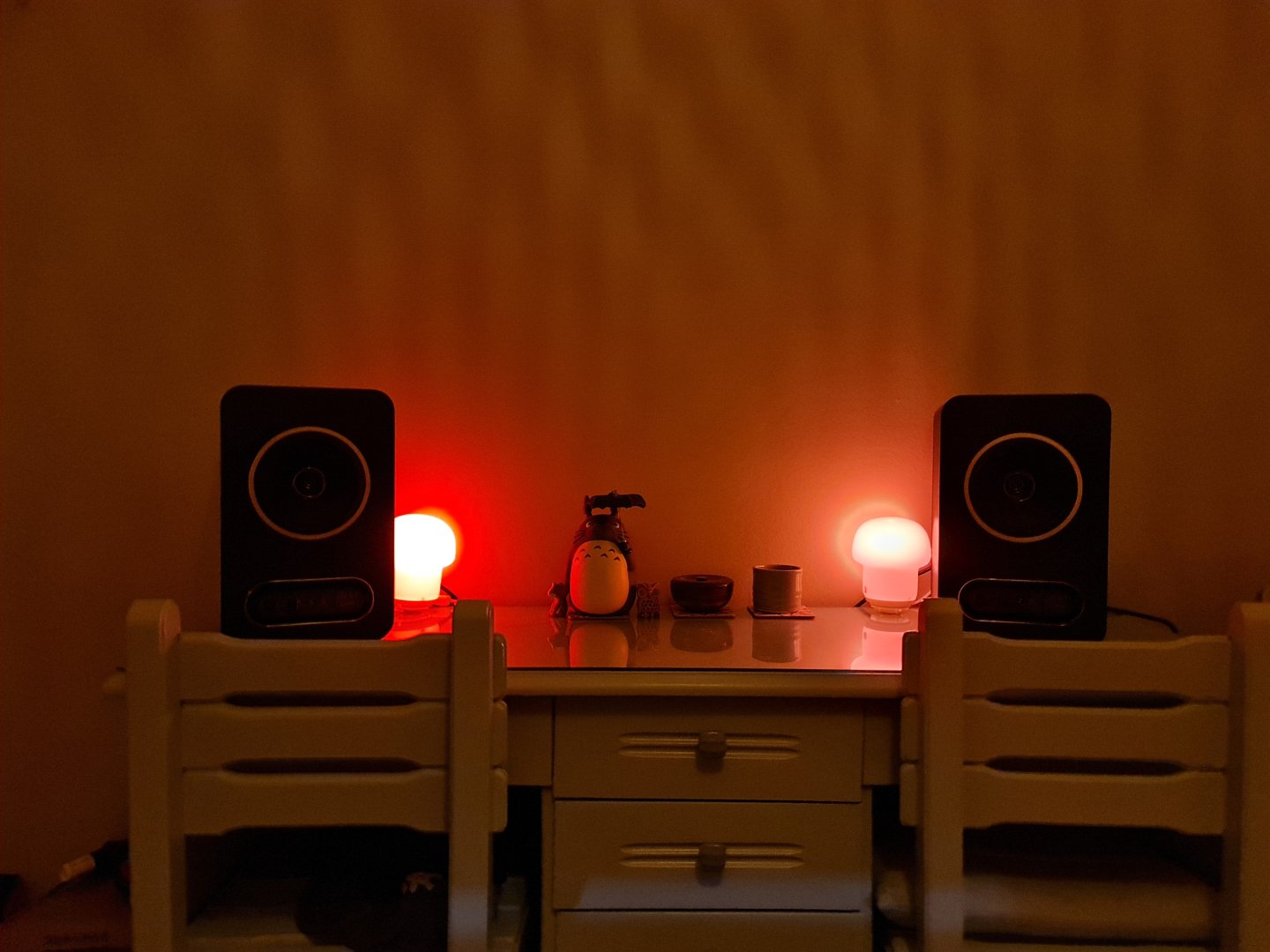 20230211_195711.jpg