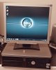 dell1.jpg