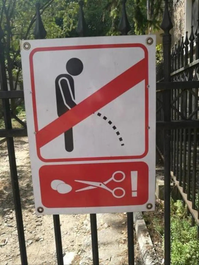 1686797592807.png