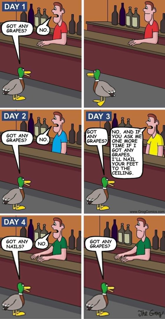 FB_IMG_1688918149728.jpg