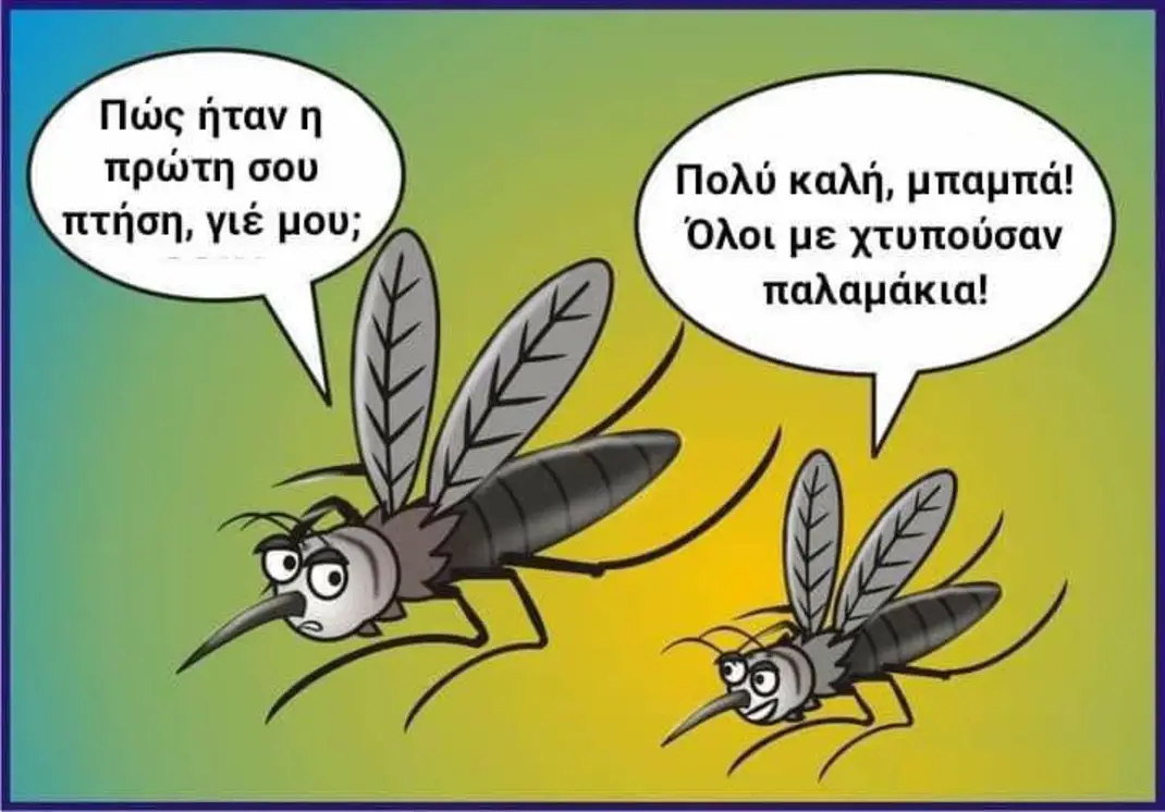 1689606494517.png