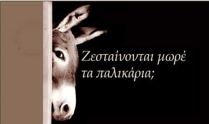 1689981331429.png