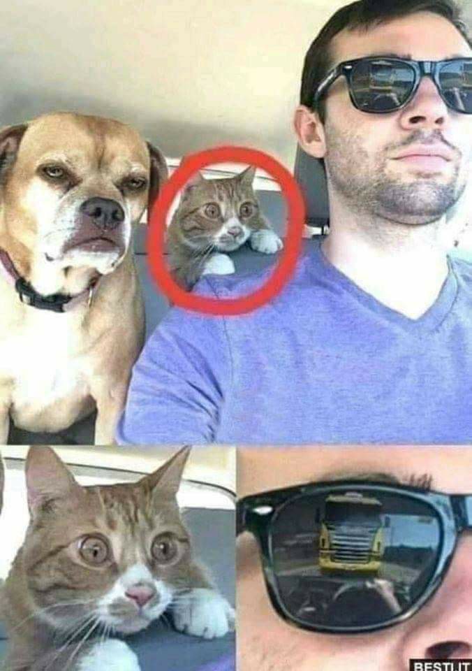 xa xa xa xa ........jpg