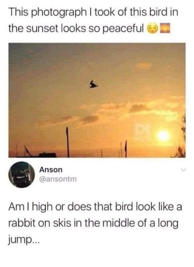 357477270_10163497585179062_1618743047685918214_n.jpg