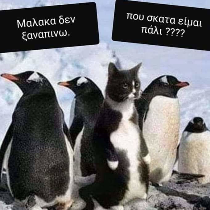 xa xa xa xa ......jpg