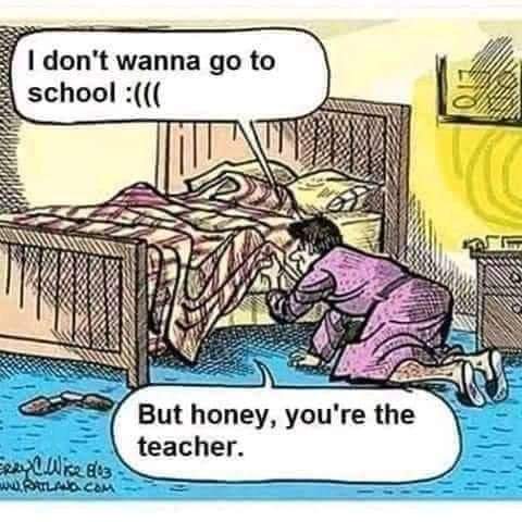 FB_IMG_1690404277530.jpg