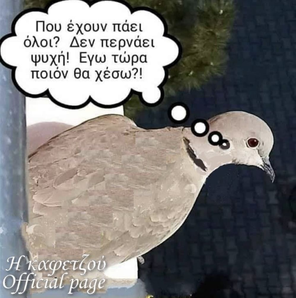 xa xa xa xa ......jpg