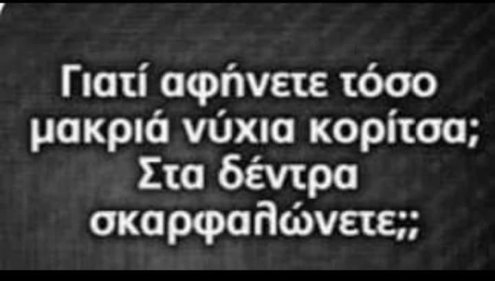 1690653524534.png