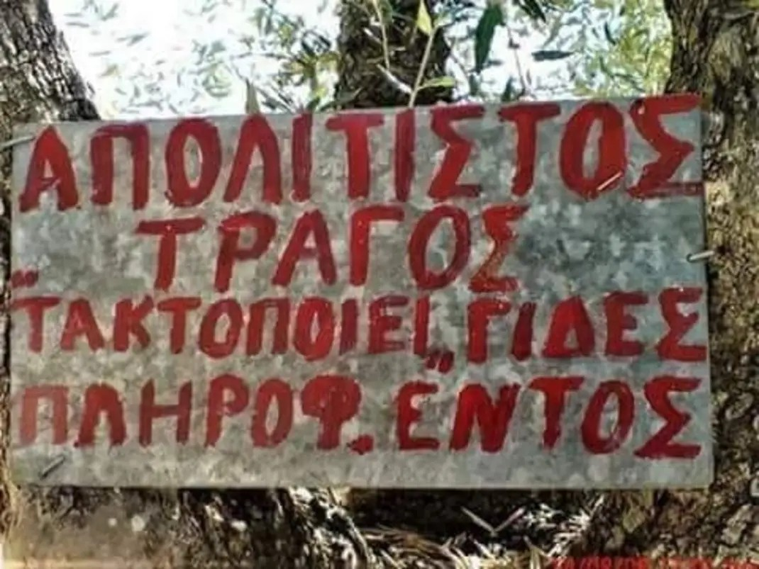 1690735209395.png