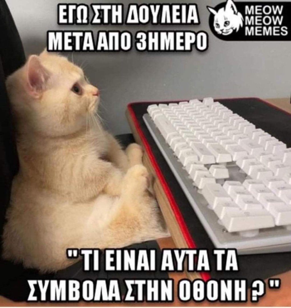 FB_IMG_1690802412856.jpg