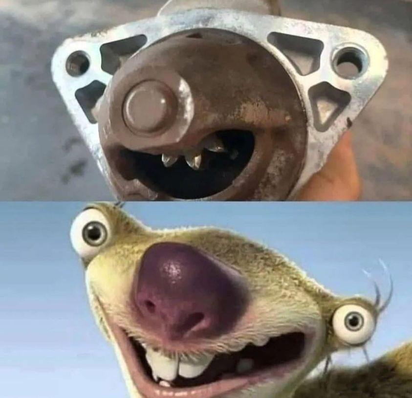 56785_n.jpg