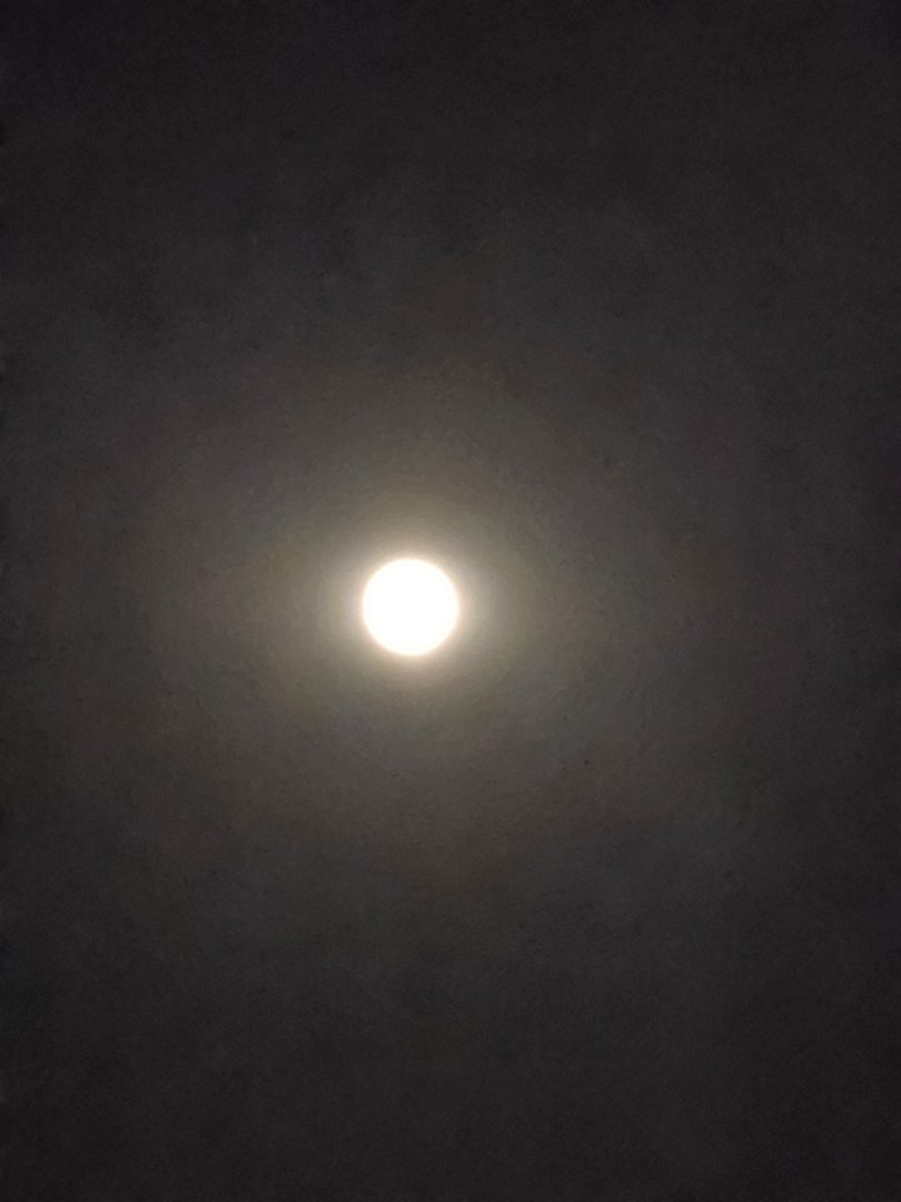 20230801_224750.jpg