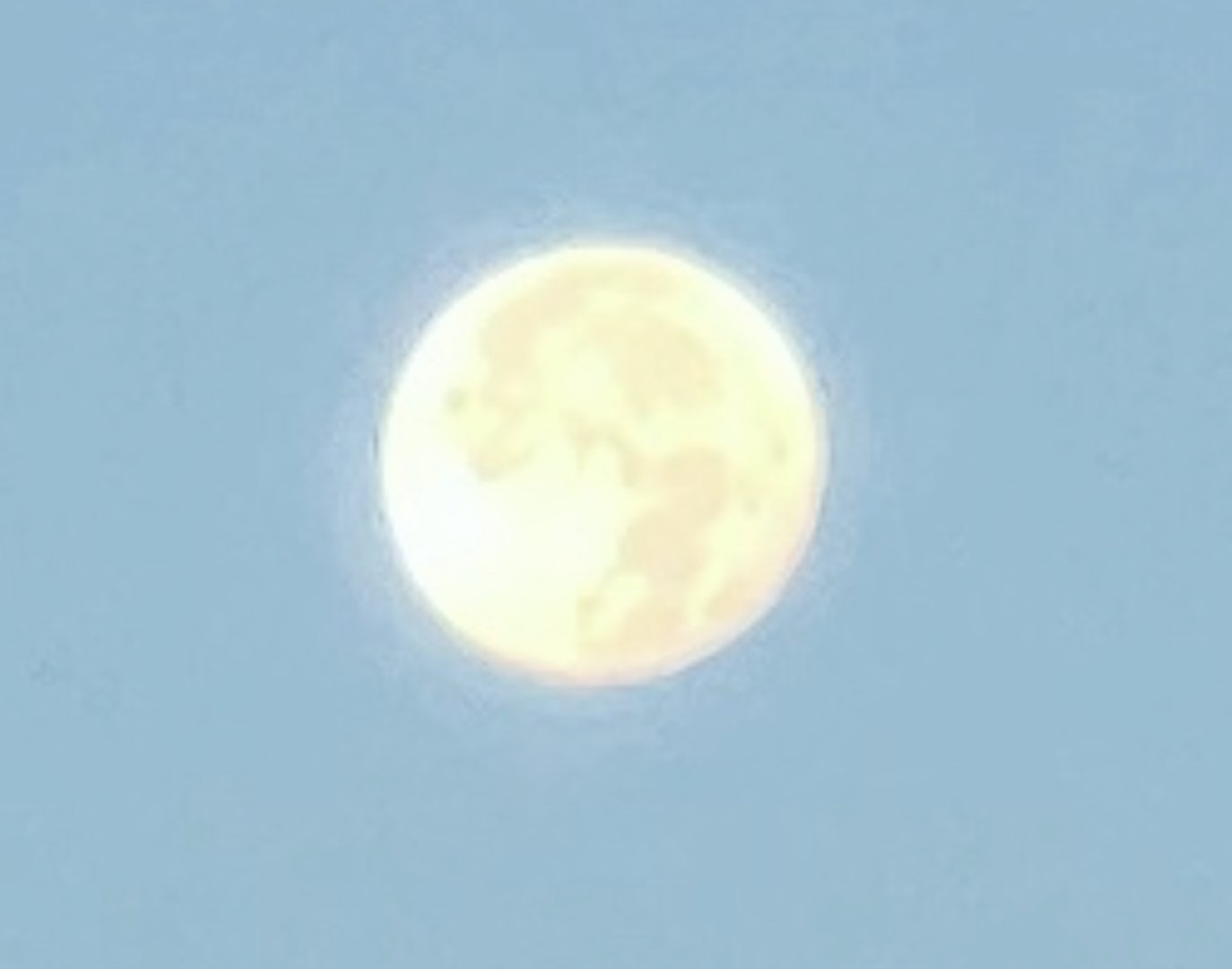 IMG_0038.jpeg