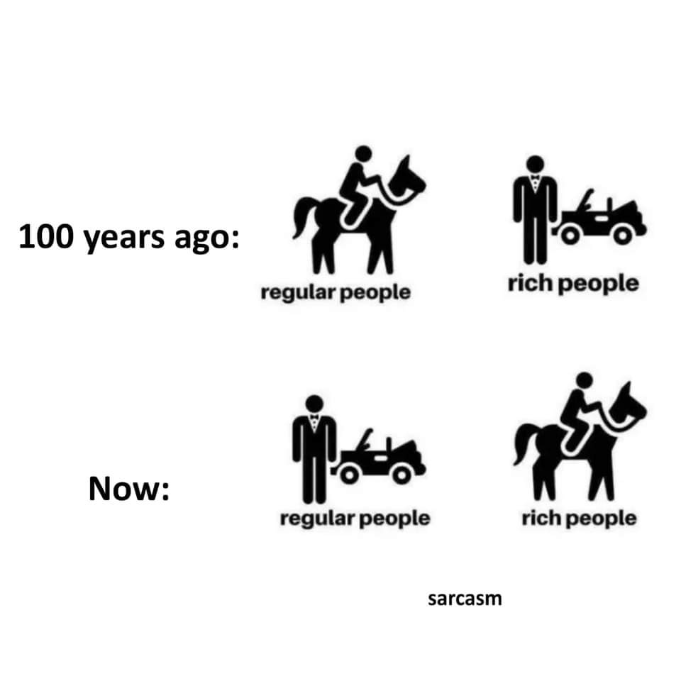 FB_IMG_1691065865355.jpg