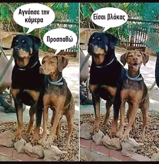 xa xa xa xa ......jpg