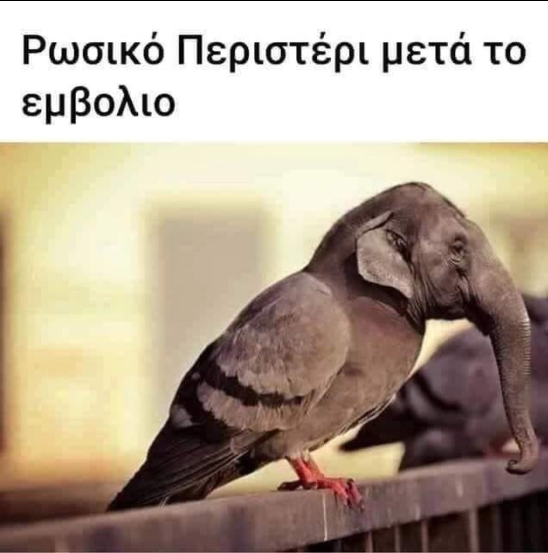 xa xa xa xa xa ..............jpg