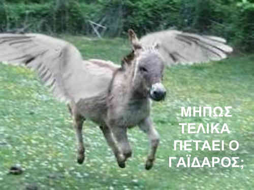 1691504798997.jpeg