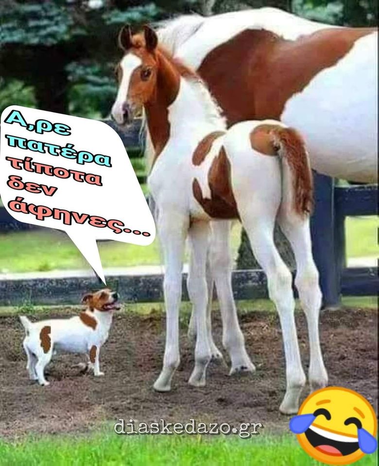 xa xa xa xa .......jpg