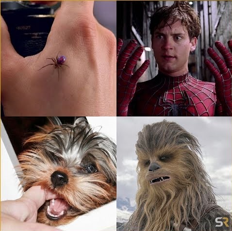 ahhzfmFzdGVpYS1hbmVrZG90YS1hdGFrZXNyEwsSBkFzdGVpbxiAgIDWhI2SCQw.jpg