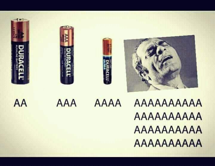 1691771198075.jpeg