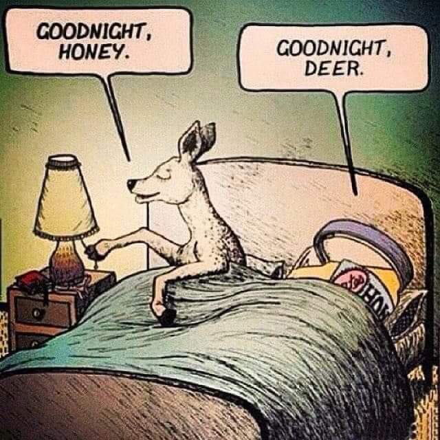 FB_IMG_1691933437737.jpg