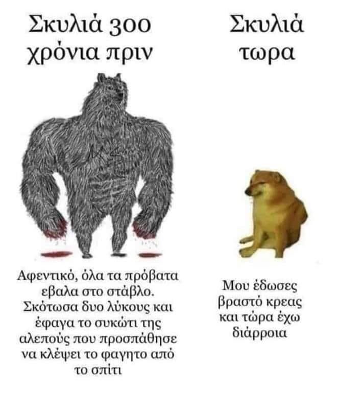 xa xa xa xa ......jpeg