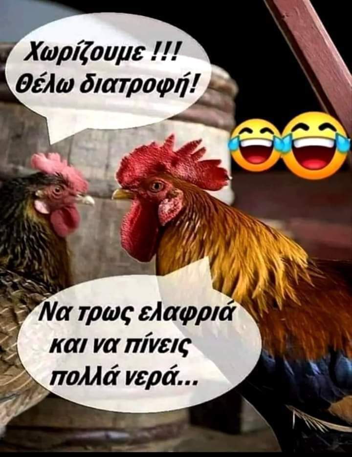FB_IMG_1692103737427.jpg