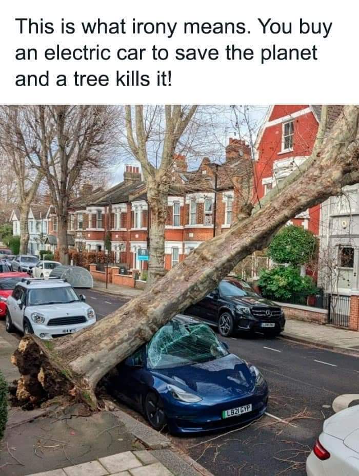 FB_IMG_1692168781956.jpg
