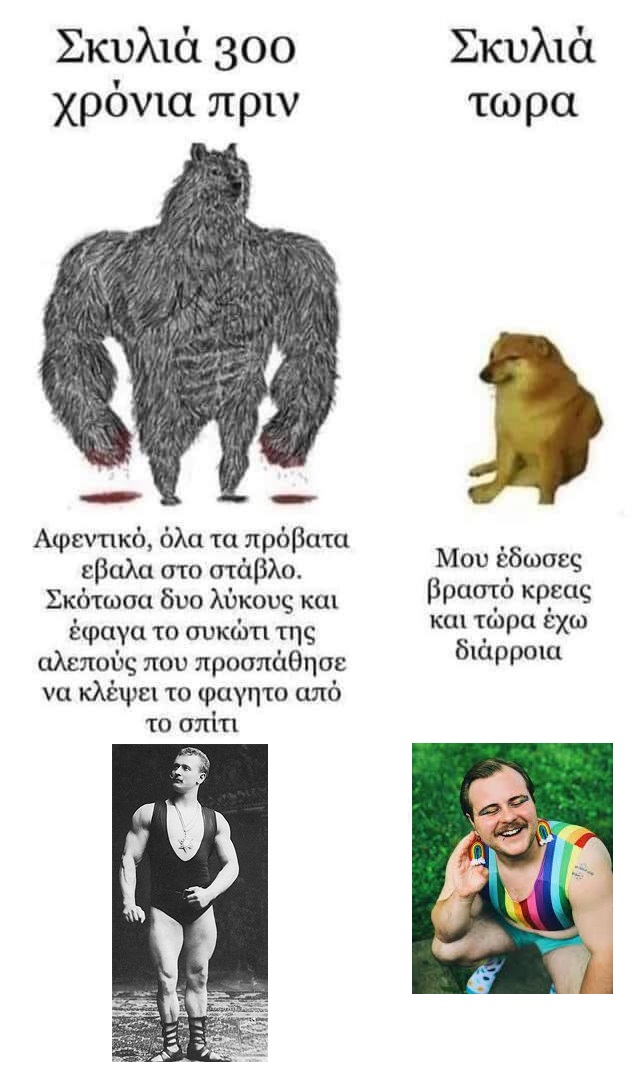 420965_70518e66fdef1129d4bcd9e96431404e.jpeg
