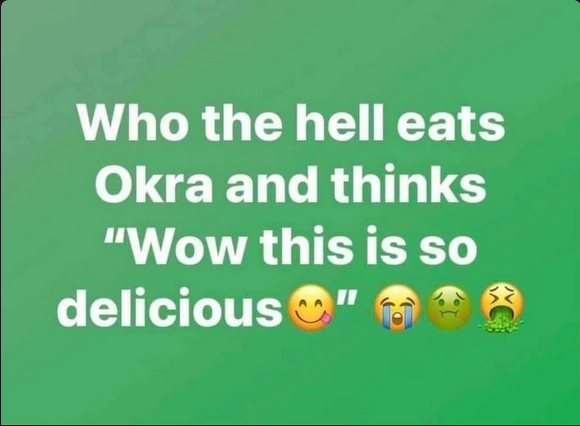 Screenshot 2023-08-22 at 15-06-45 #be - Who the hell eats Okra and thinks Wow this is so delic...png