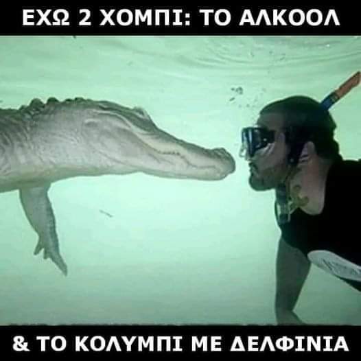 FB_IMG_1692778296044.jpg