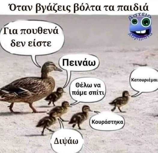 47dba4ad88b846b76d067a38cdc54345.jpg