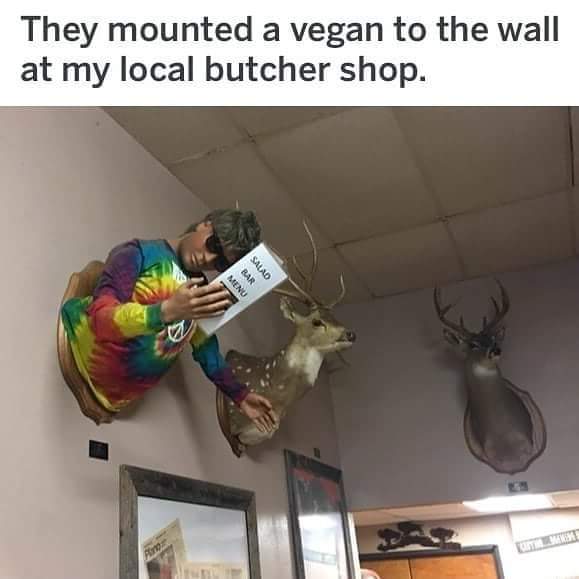 1000008561.jpg