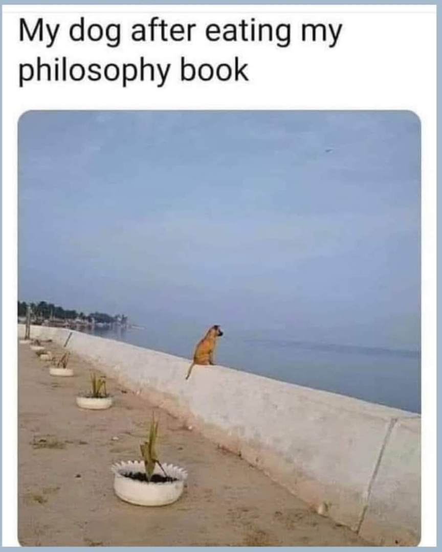 1694120549429.png