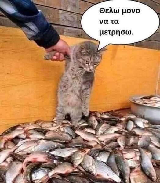 xa  xa xa xa ......jpg