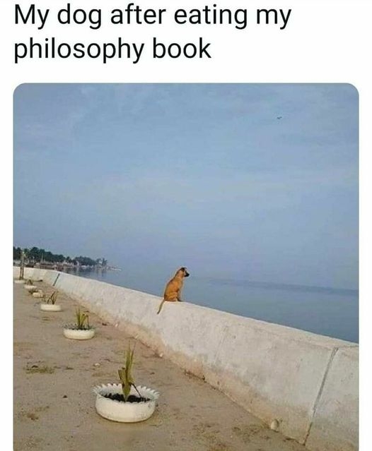 xa xa xa xa .....jpg