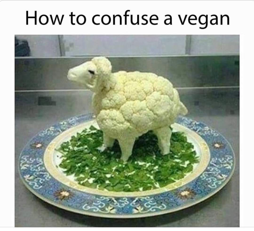 1000008667.jpg