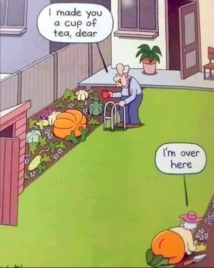 1694895860304.png