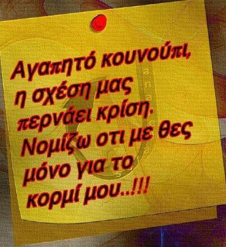 κουνουπι.jpg