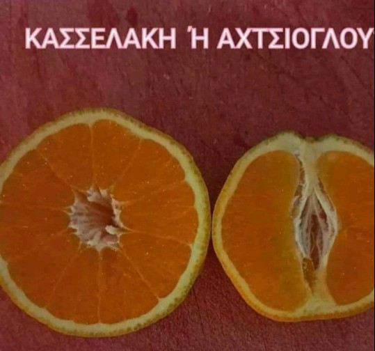 54.jpg