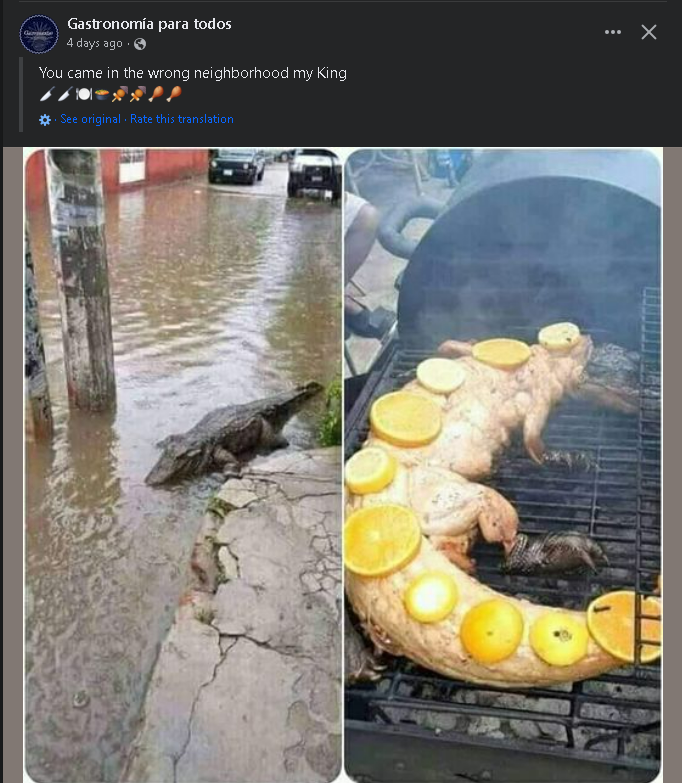 1696867914039.png