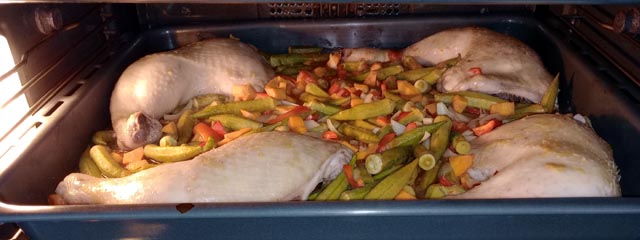 IMG_20231012_134210~2.jpg