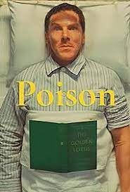 1697494064029.png