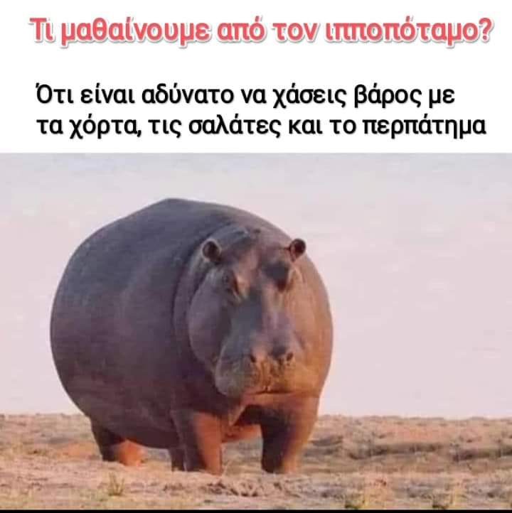 1000009155.jpg