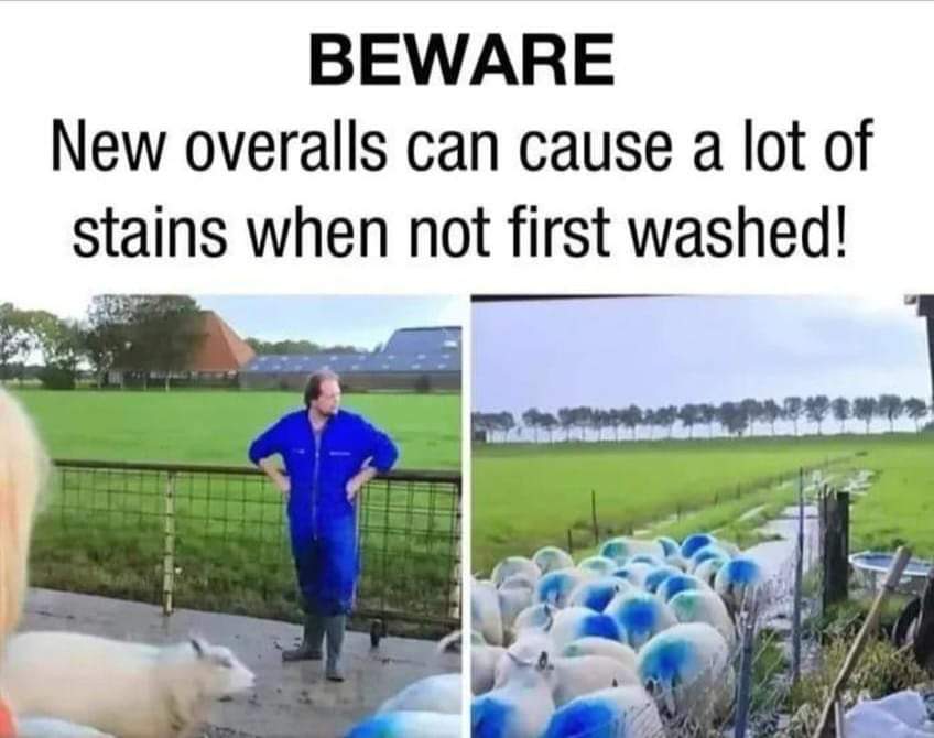 1000009348.jpg