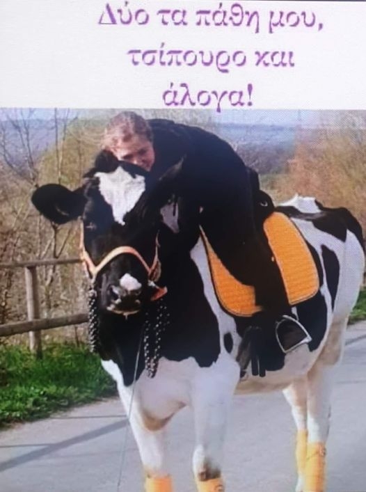 xa xa xa xa ......jpg