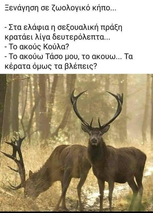 1701732175451.png